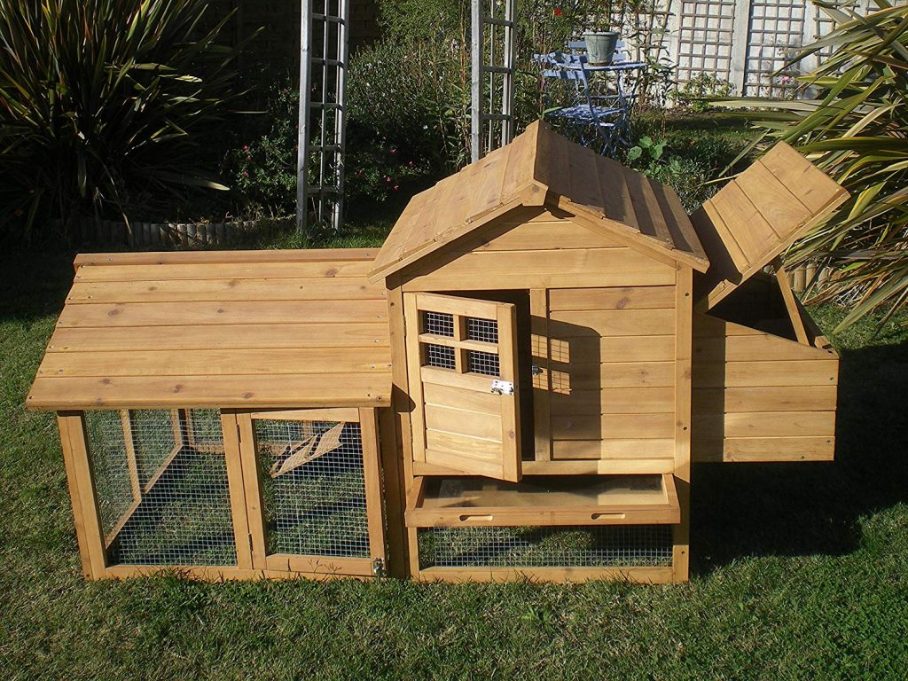 Poulailler dans le jardin